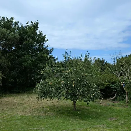 Family Near Hove * Asnæs